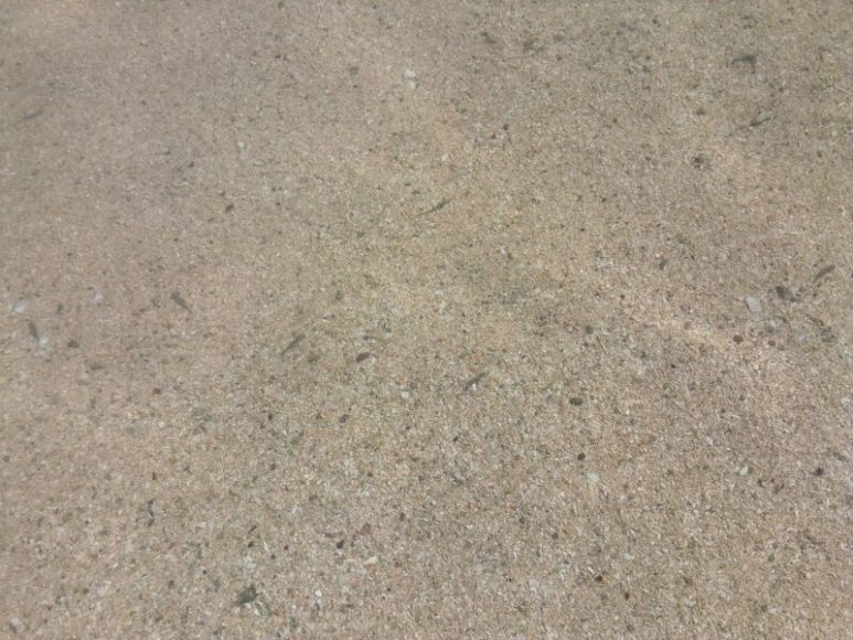 Small fishes in Penitan Bay