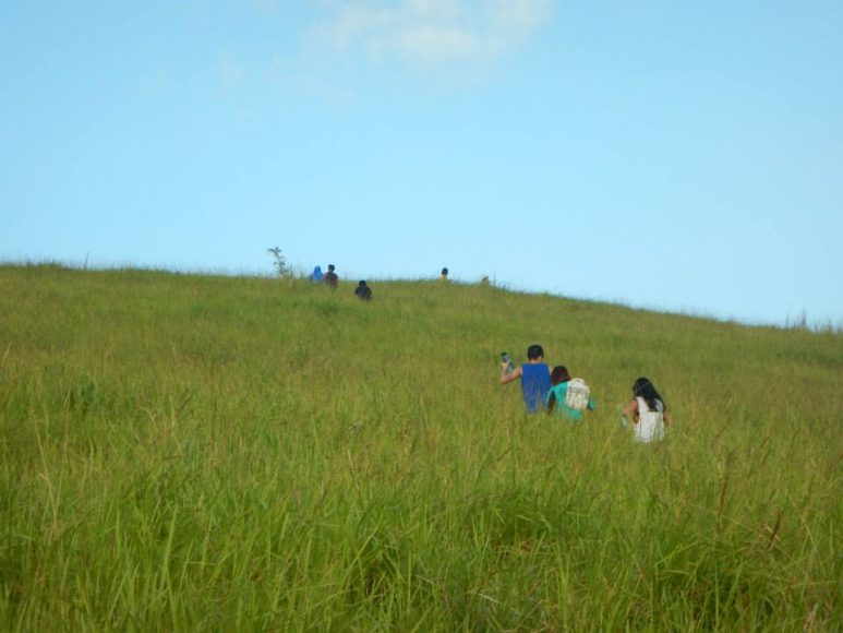 Penitan Bay hill