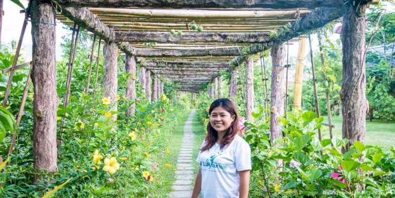 Balay Buhay sa Uma Bee Farm