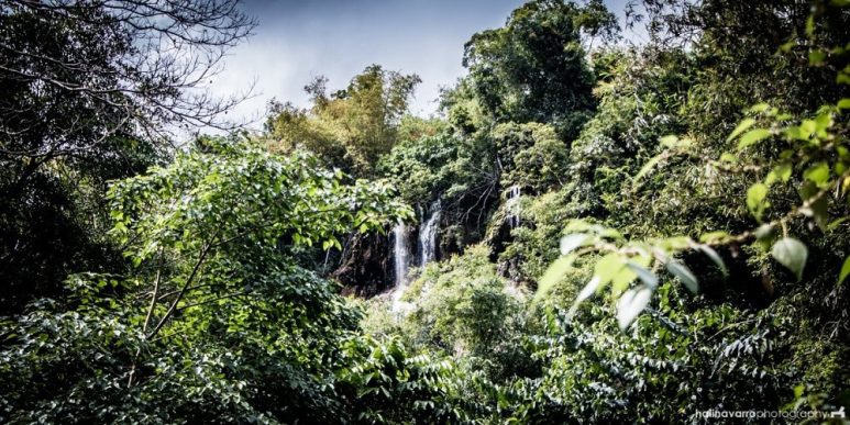 Tumalog Falls in Cebu