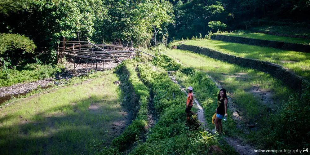 Rice terraces trail to Bugtong Bato Falls in Tibiao, Antique