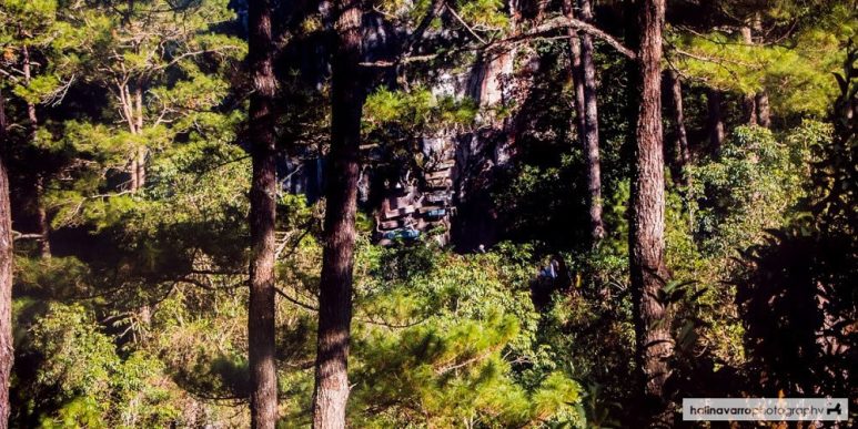 Hanging coffins in Sagada