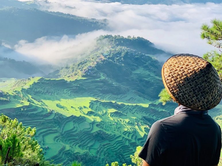 Maligcong Rice Terraces in planting season