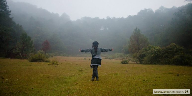 Mount Kofafey clearing