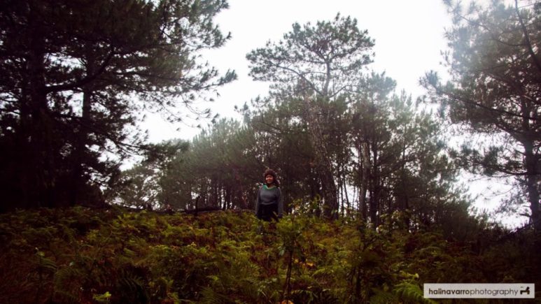 Mount Kofafey trail