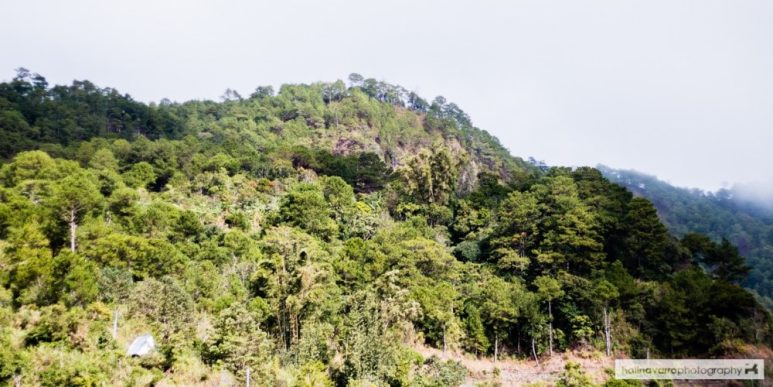Mount Kofafey in Bontoc