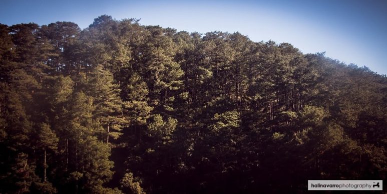 Echo Valley in Sagada