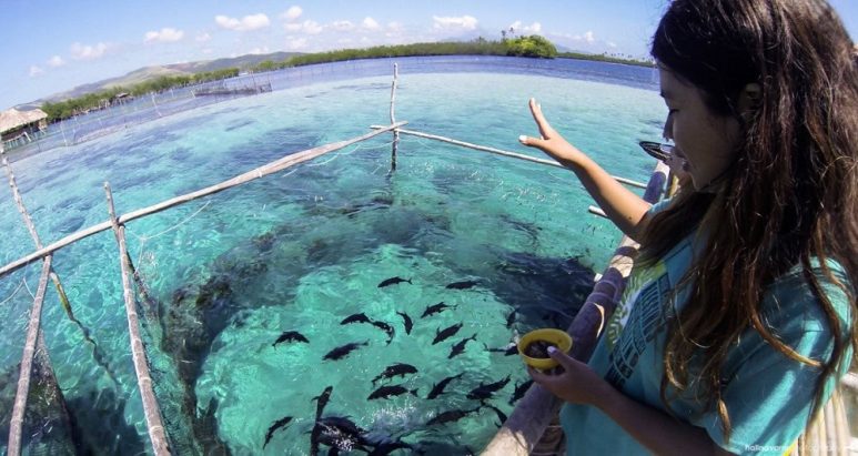 Juag Lagoon Fish Sanctuary in Sorsogon