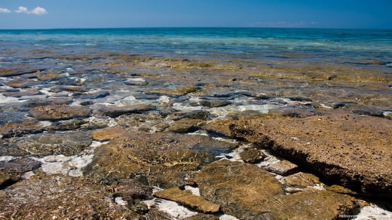 Kalanggaman Island rocky shore