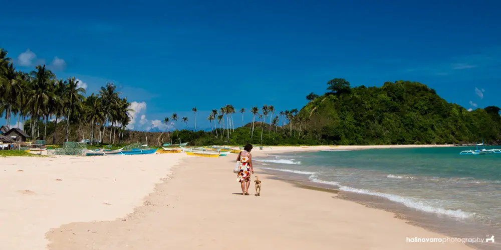 Nacpan Beach in El Nido, Palawan | budget-friendly El Nido travel guide