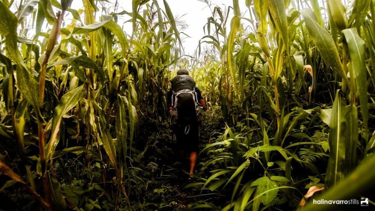 Kule trail to T'boli community