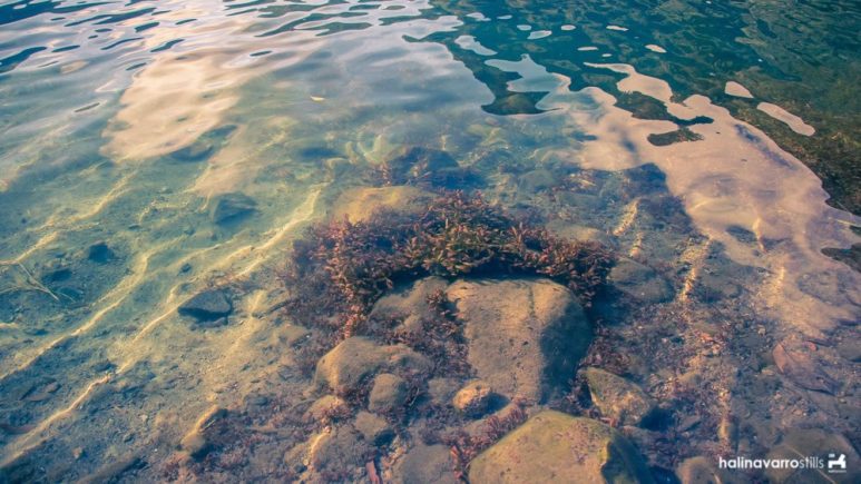 Clear shore of Lake Holon