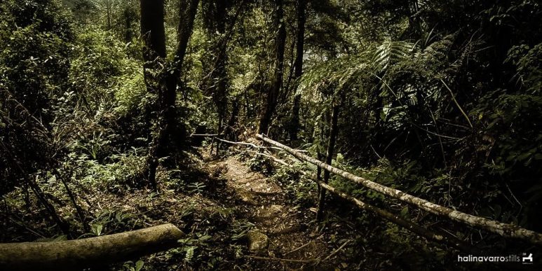 Downward stairs to Lake Holon