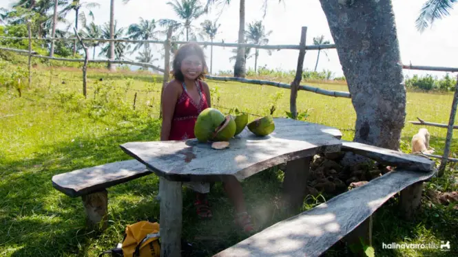 A visit to a province won't be complete without fresh coconuts! (Photo by Hali Navarro)