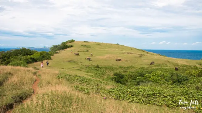 Cagnipa Rolling Hills in Catanduanes