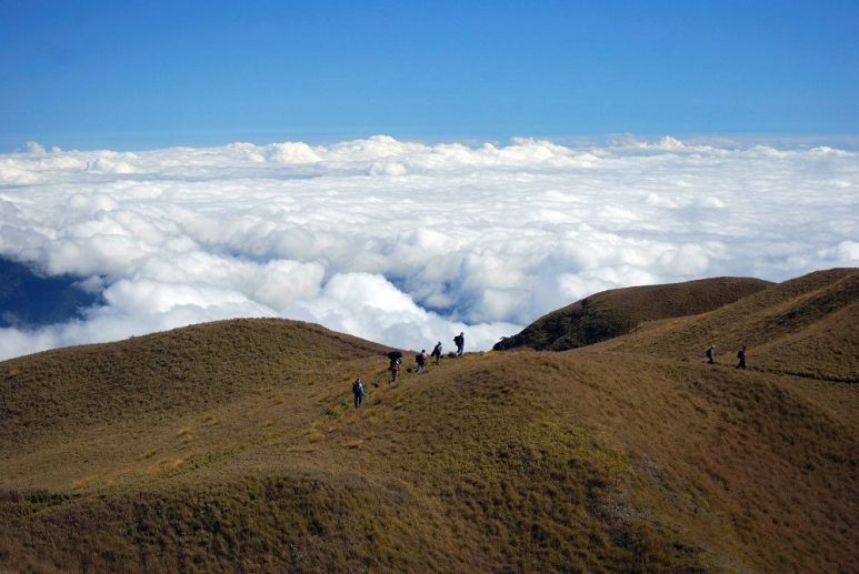 Sea of clouds in Mount Pulag