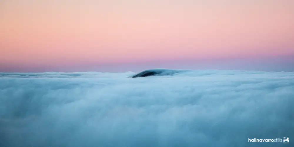 Mount Pulag sea of clouds