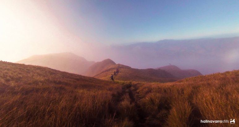 Near summit in Mount Pulag, Philippines