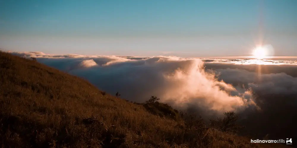 View near the saddle camp in Mount Pulag