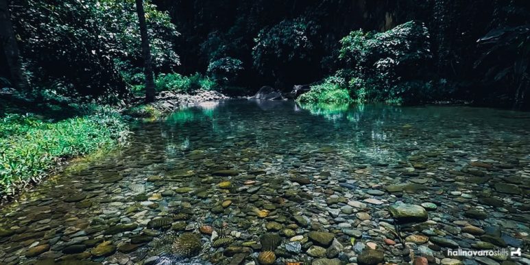 Trail to Pondol Falls, Biliran