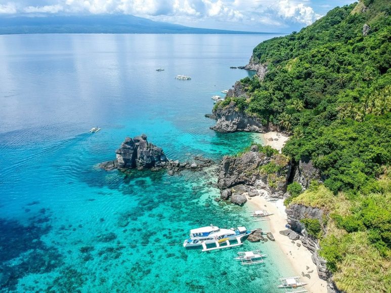 Apo Island in Dauin