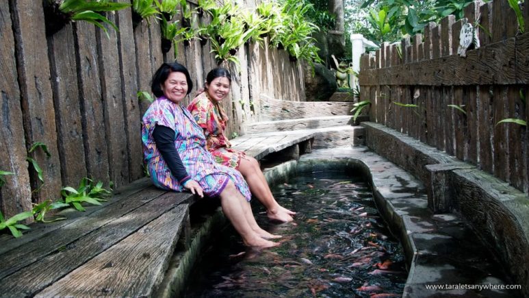 Luljetta's fish spa