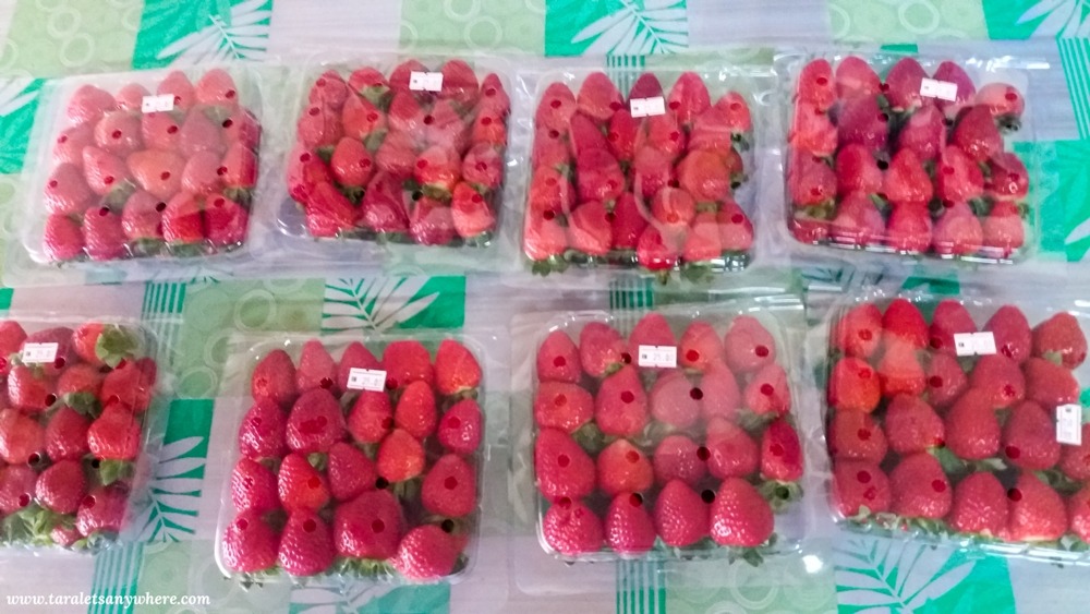 Strawberries for sale in Cameron Highlands, Malaysia