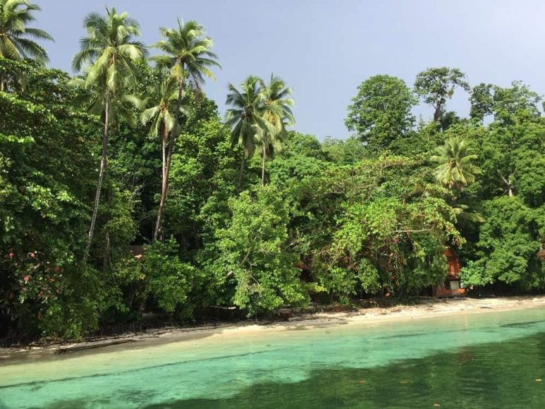 Waigeo Island, Raja Ampat, Indonesia