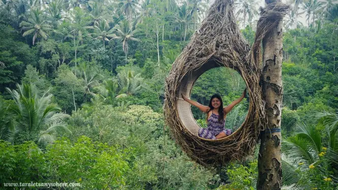 Bird's nest in Ubud, Bali