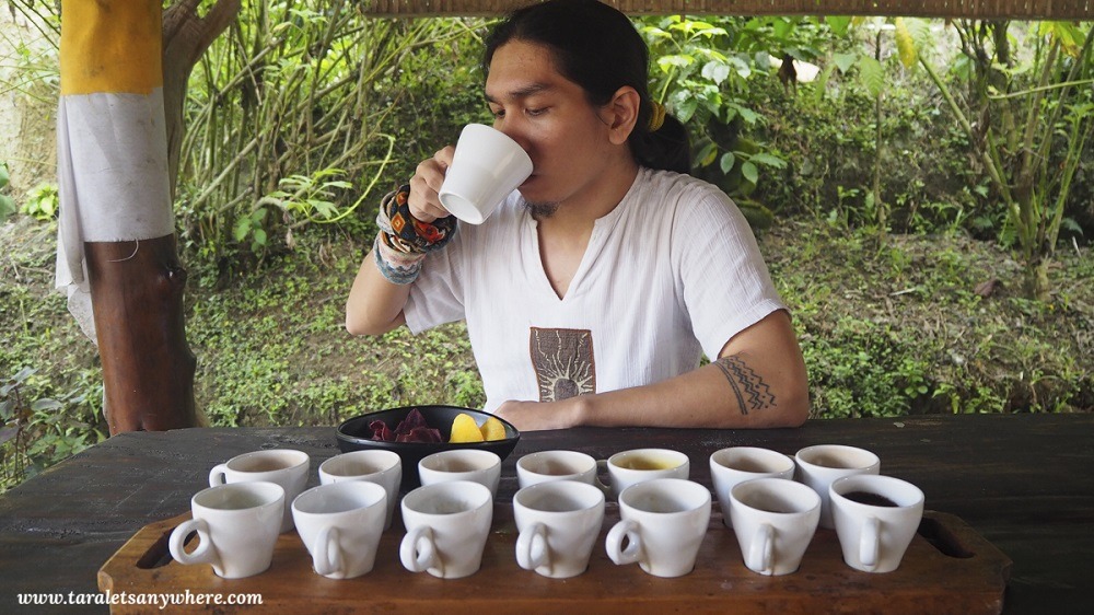 Coffee and tea tasting in Ubud, Bali