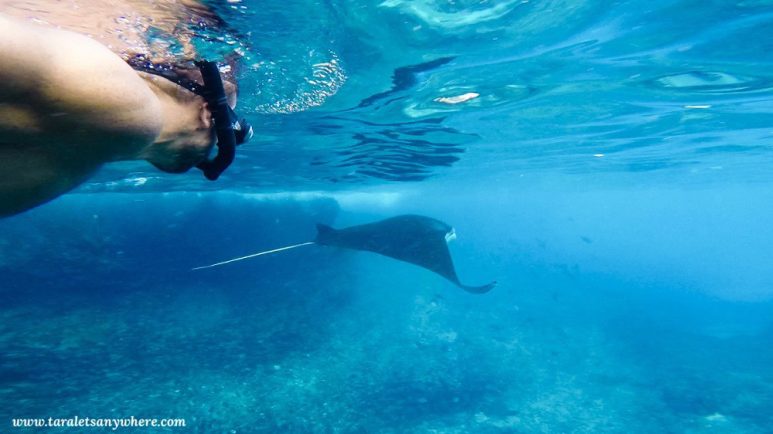 Manta Point in Nusa Penida