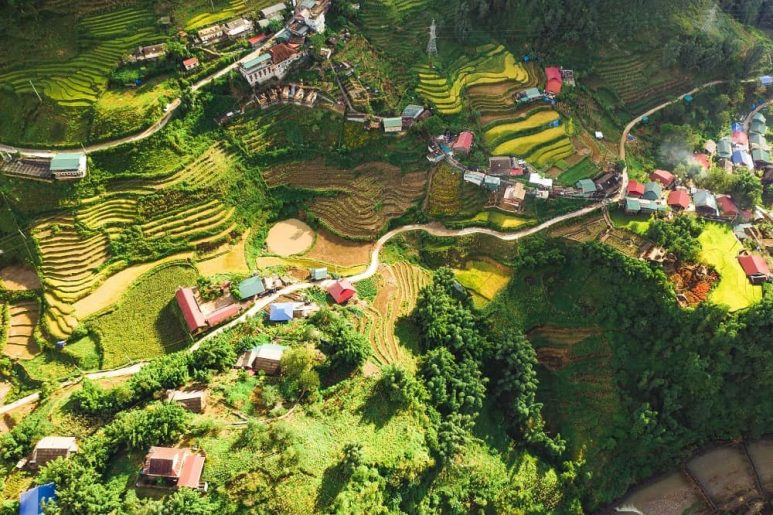 Rice fields in Sapa, Vietnam