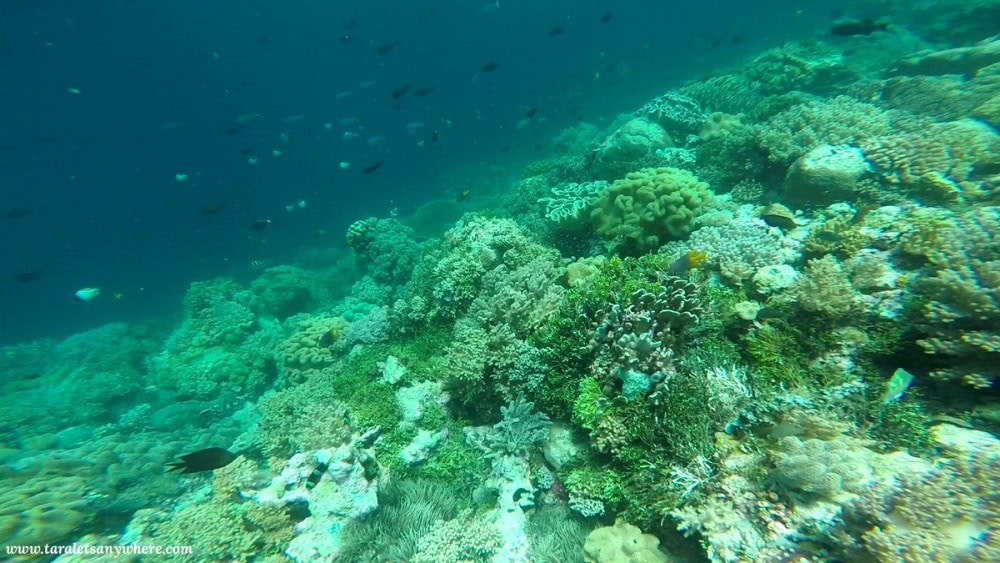Snorkeling in Perhentian Islands, Malaysia