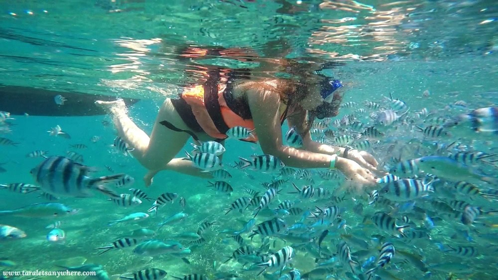 Snorkeling in Perhentian Islands, Malaysia