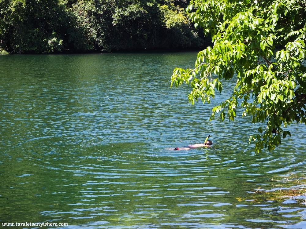 Jellyfish lake in Muna Island, Sulawesi, Indonesia