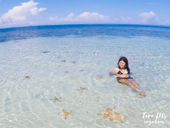 Starfishes in Sirommon Island, Once Islas