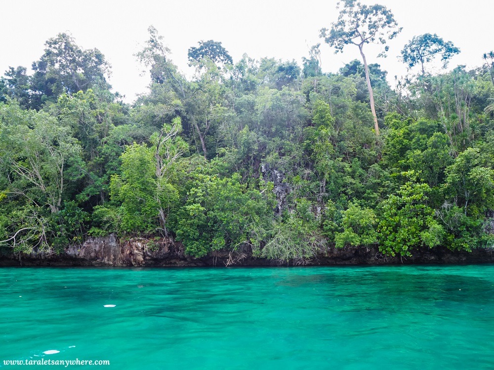 Mini Raja Ampat, Muna Island, Sulawesi