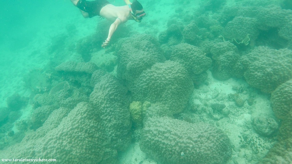 Snorkeling in Mini Raja Ampat, Muna Island