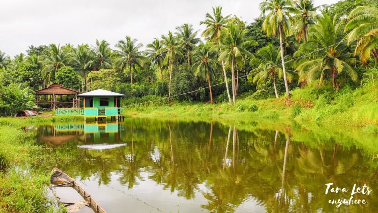 Fish pond in JSMS Farm, Camarines Norte