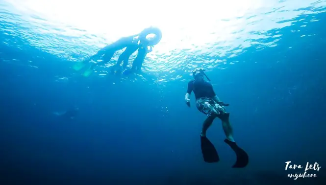 Basic freediving lesson in Batangas