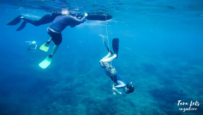 Down the line - basic freediving lesson