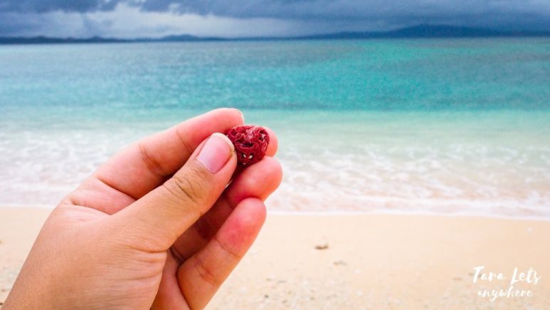 Pink beach of Parola Island, Camarines Norte
