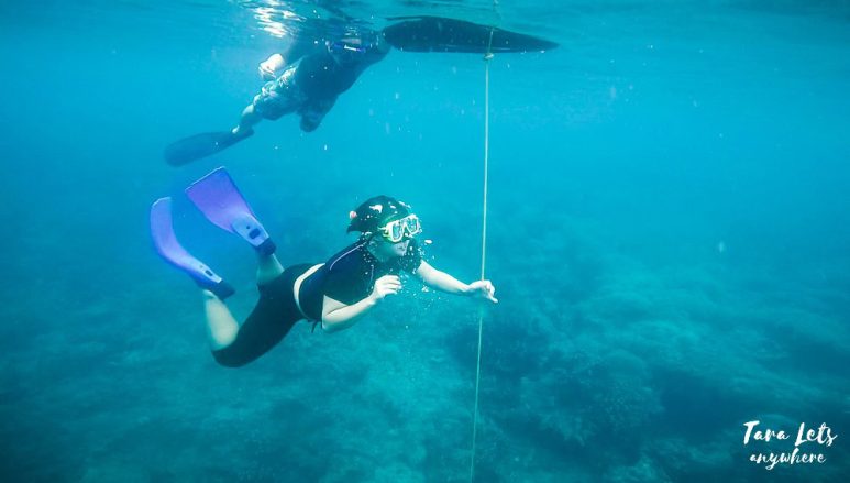 Down the line - basic freediving lesson
