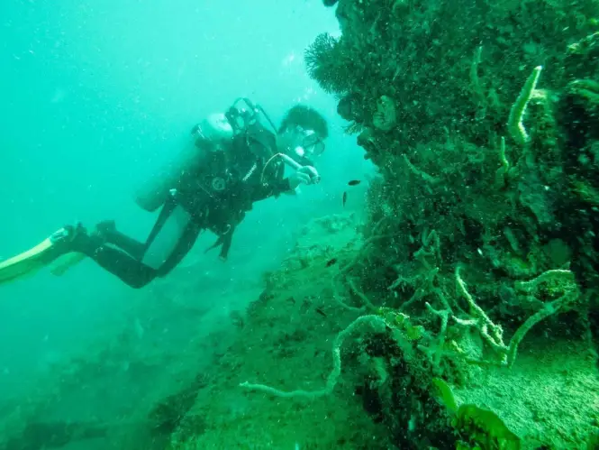 Adventures in the Philippines - shipwreck diving in Coron, Palawan