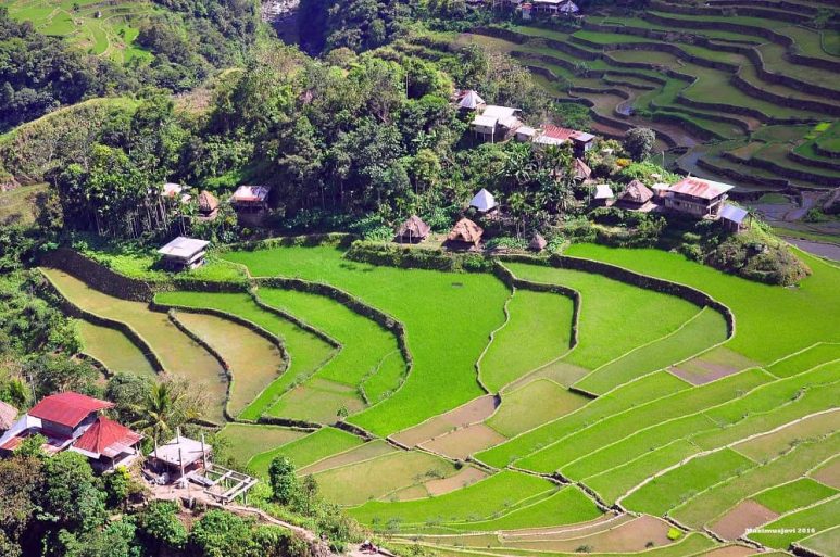 PH adventure collab - trekking Batad rice terraces