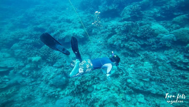 End of down the line - basic freediving lesson