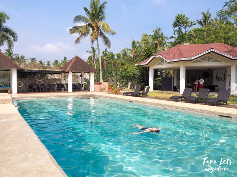 Apol swimming in Casa Belinda