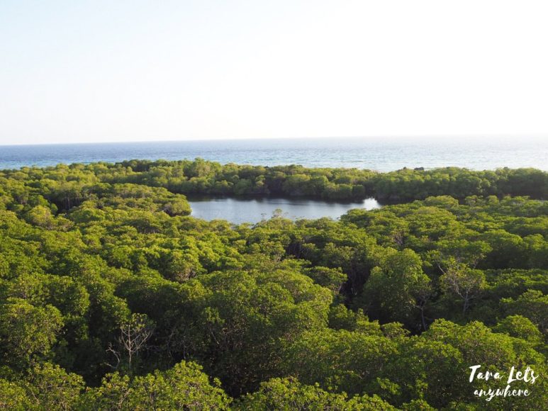 Lagoon in Apo Island, Apo Reef Natural Park