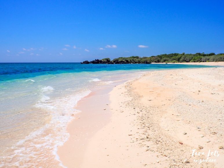 Pawikan breeding ground in Apo Island, Apo Reef Natural Park, Mindoro