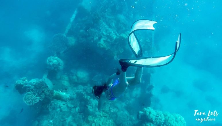 Shipwreck in Apo Reef